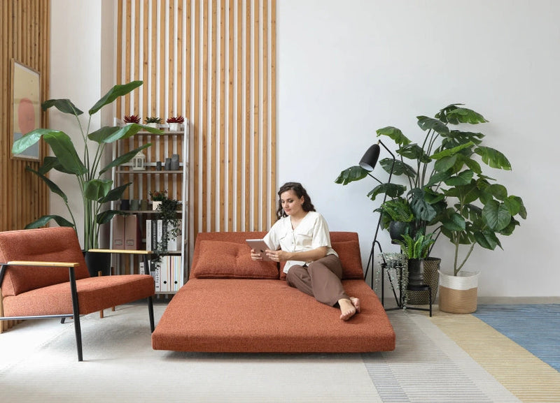 Transforming Furniture: How Queen Sofa Beds Have Changed Urban Living